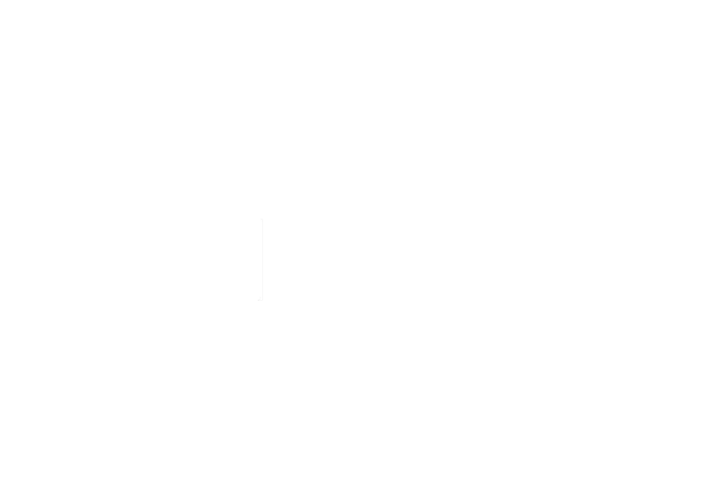 Leo Borel